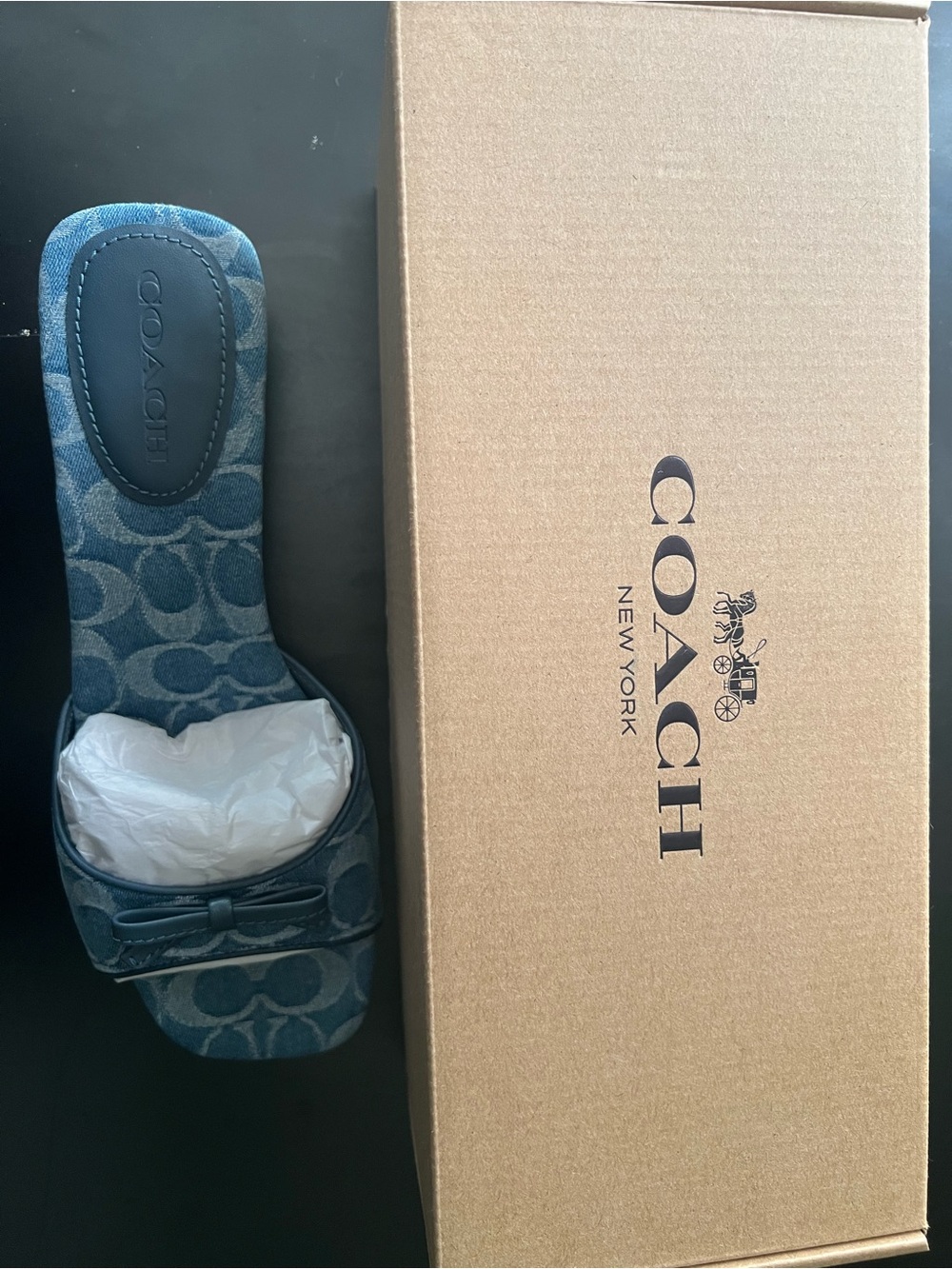 Coach Women's Blue Denim Signature Jacquard Slide Kitten Heel Sandals